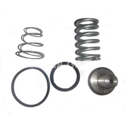 Ремкомплект клапана минимального давления G35F 1-1/4" VMC 2201250 фото