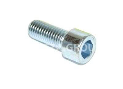 Болт воздушного фильтра М8х30 фото